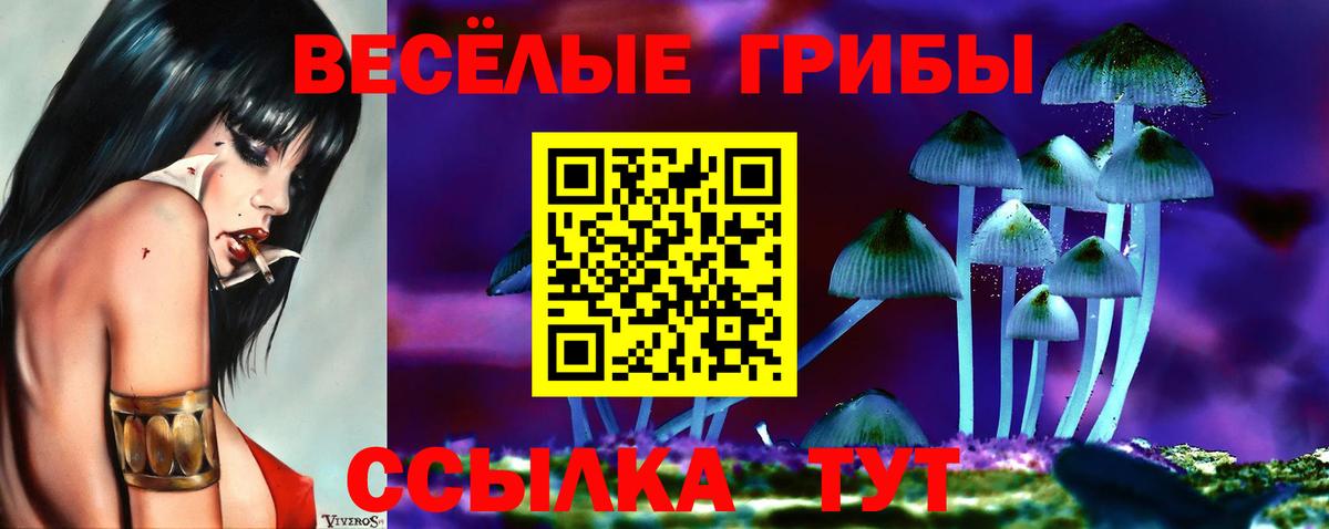 Галлюциногенные грибы мухоморы Энгельс